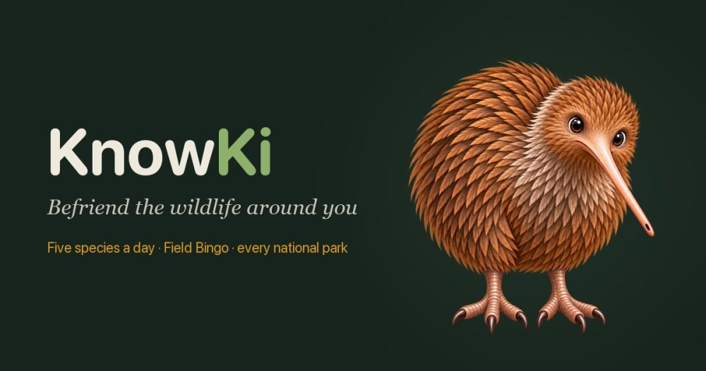 Its sharing image of knowki.app