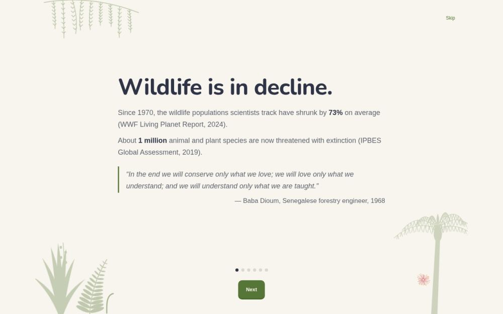 Screenshot of the homepage of knowki.app