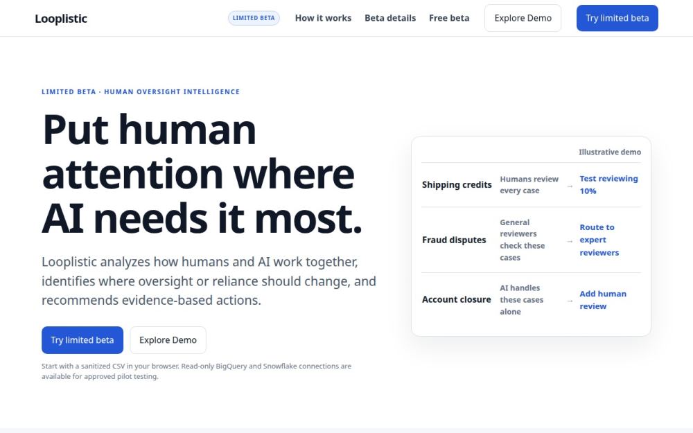 Screenshot of the homepage of looplistic.com