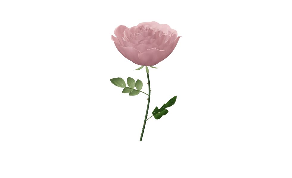Its sharing image of bloomria.com