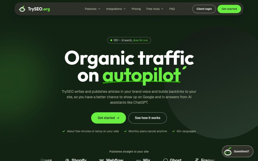 Screenshot of the homepage of tryseo.org
