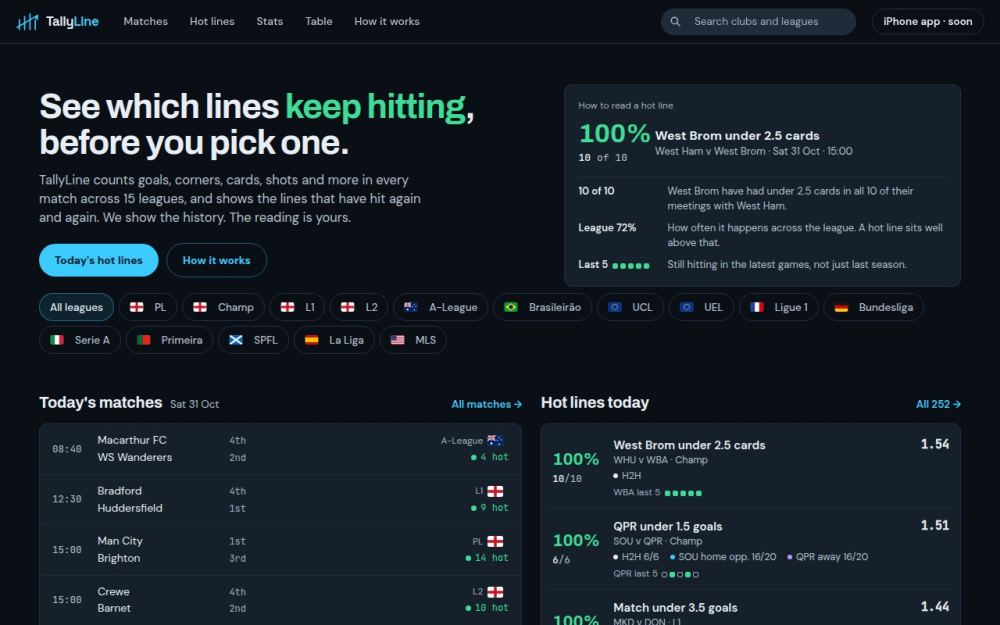 Screenshot of the homepage of tallyline.io