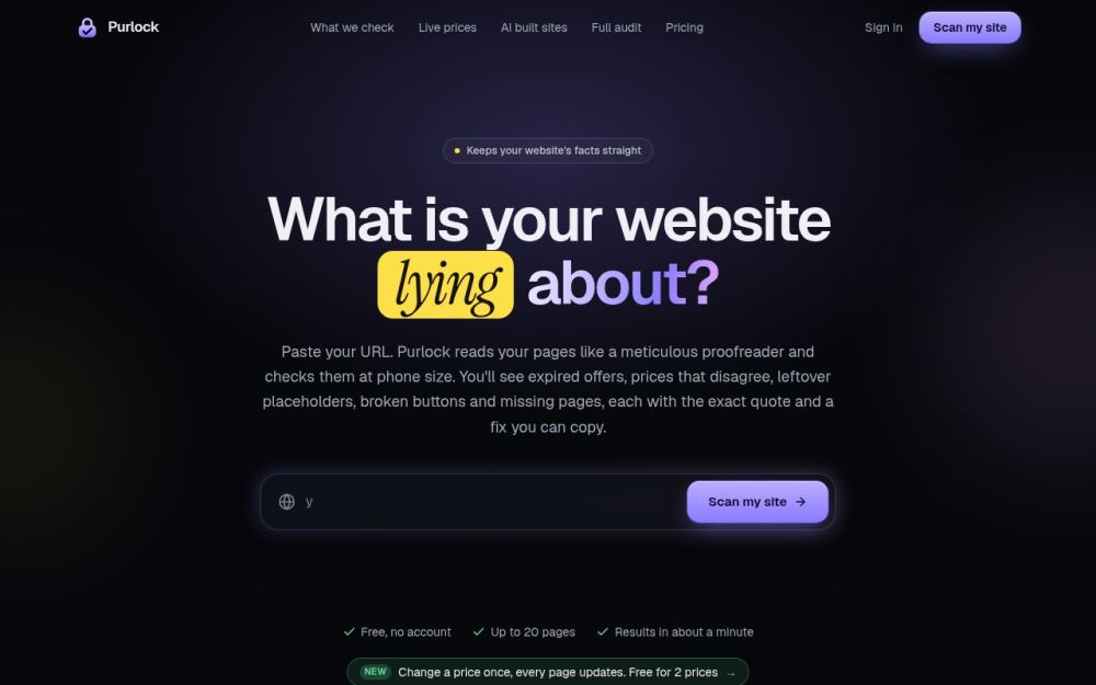 Screenshot of the homepage of purlock.com