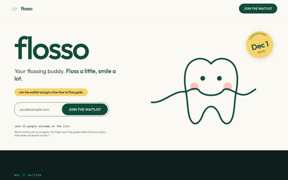 Screenshot of the homepage of flosso.health