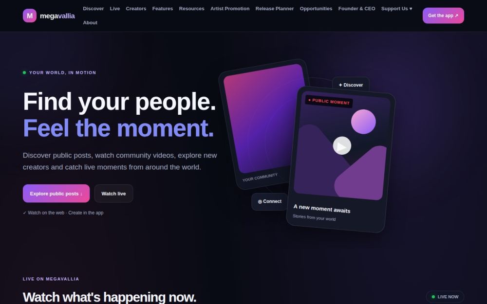 Screenshot of the homepage of megavallia.com