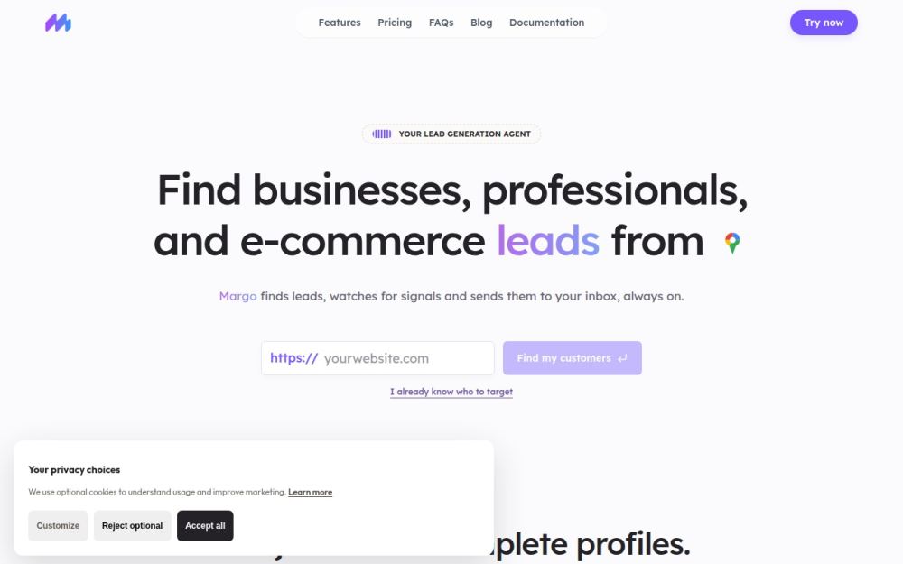 Screenshot of the homepage of margoleads.io