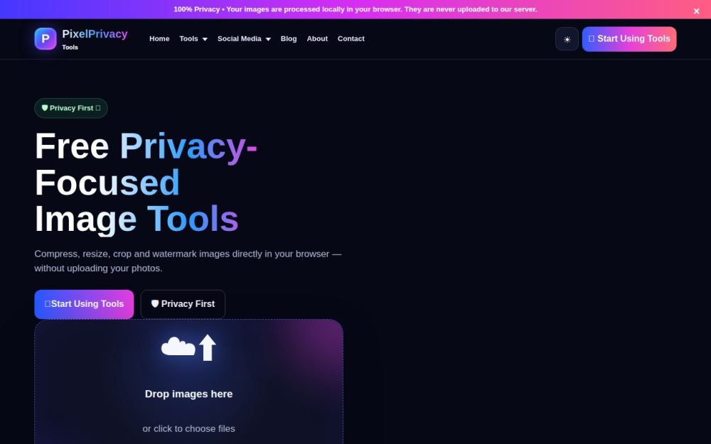 Screenshot of the homepage of pixelprivacytools.in